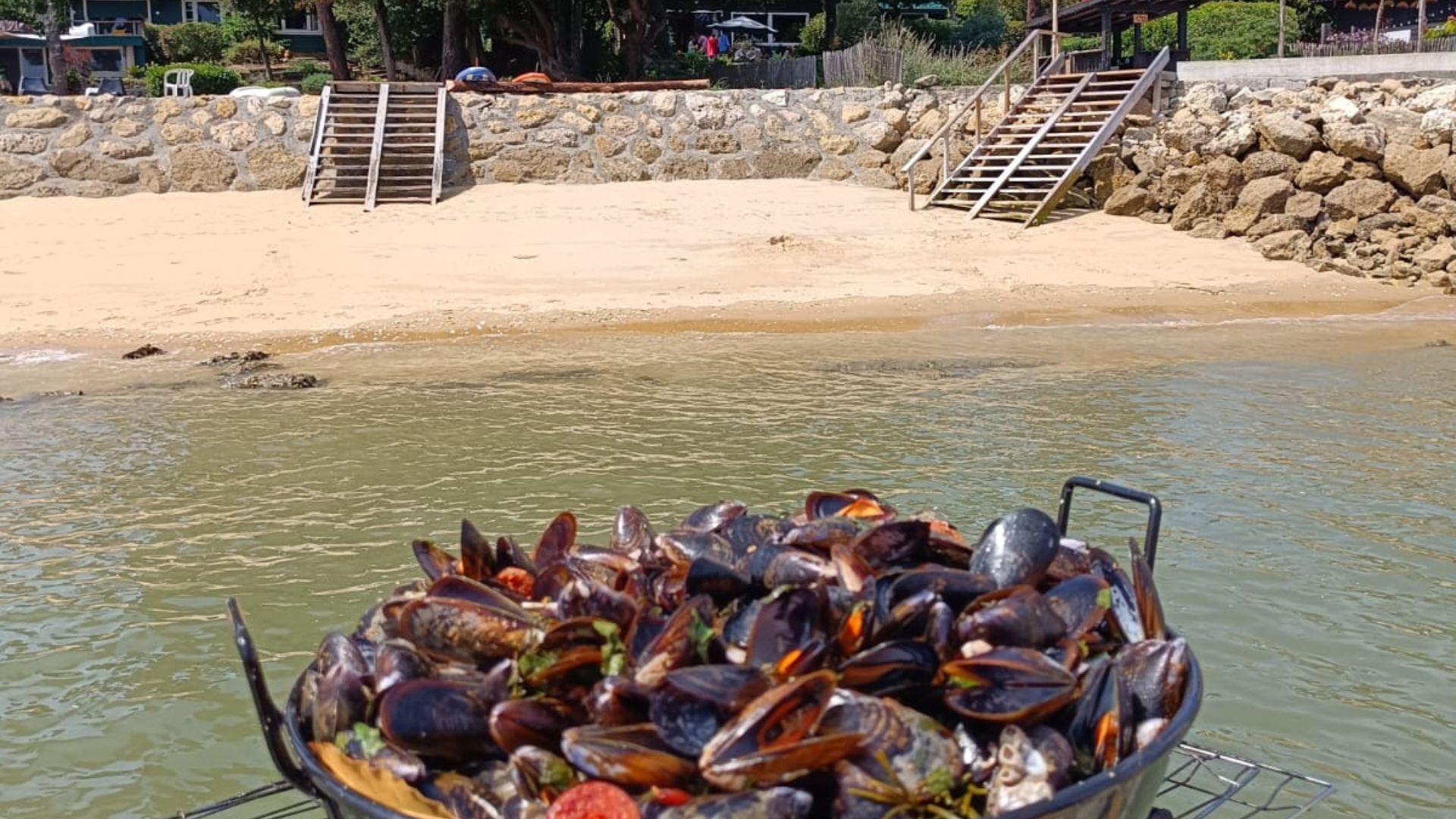 Arca Ferret | Balade en bateau et fruits de mer sur le Bassin d' Arcachon